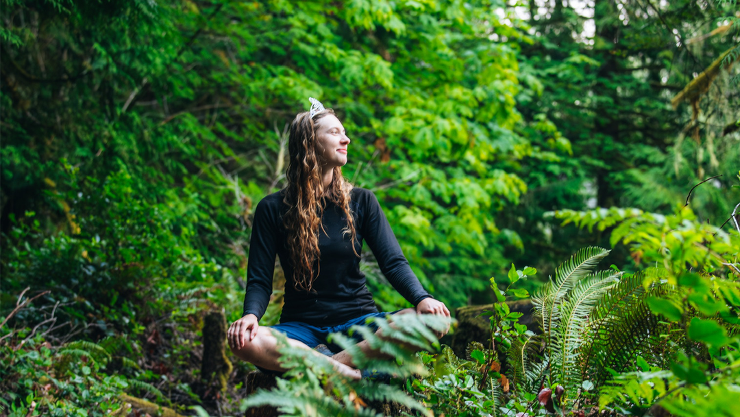 Egmont Dreaming - Skoooooook