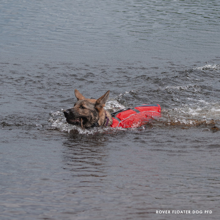 Gilet de sauvetage pour chien Rover Floater M/L